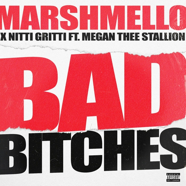 Bad Bitches Ft Nitti Gritti,Megan Thee Stallion