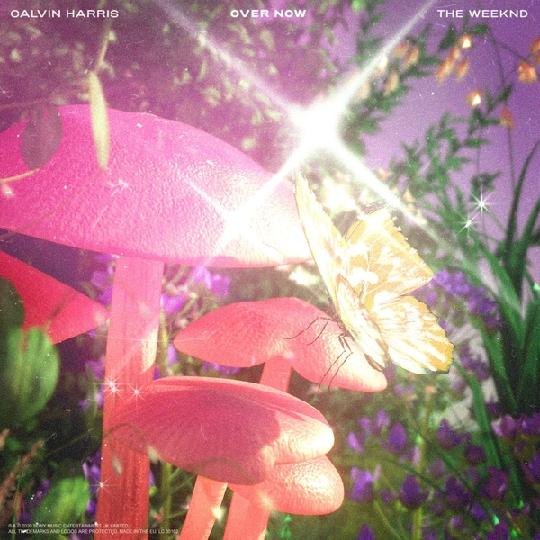 Over Now Ft The Weeknd