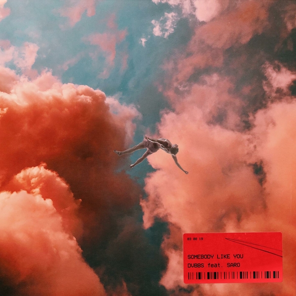 Somebody Like You Ft Saro